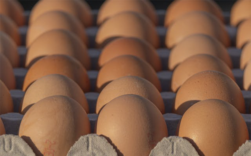 Nosotros - Distribución de Productos en Barcelona